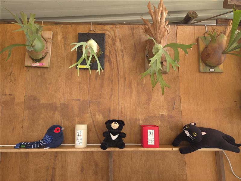 香香久溢咖啡莊園